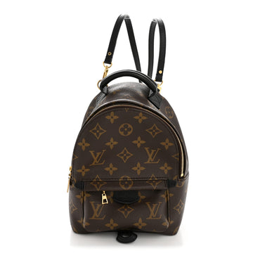 Louis Vuitton Palm Springs Backpack Mini