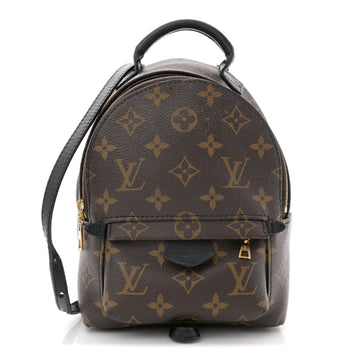 Louis Vuitton Palm Springs Backpack Mini