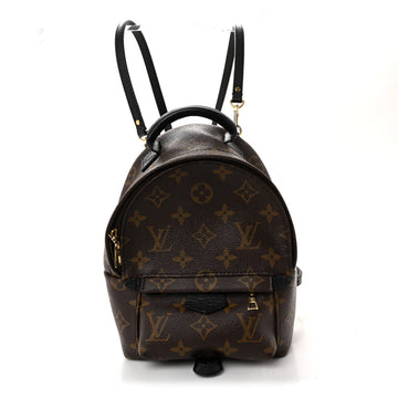 Louis Vuitton Palm Springs Backpack Mini