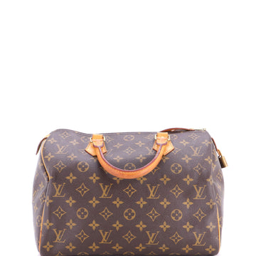 Louis Vuitton Speedy Handbag Canvas 30