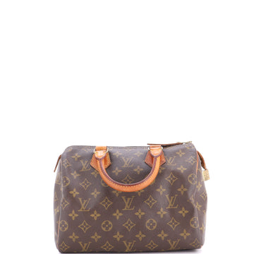 Louis Vuitton Speedy Handbag Canvas 25
