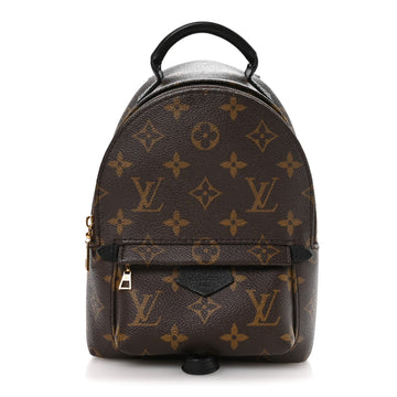 Louis Vuitton Palm Springs Backpack Mini