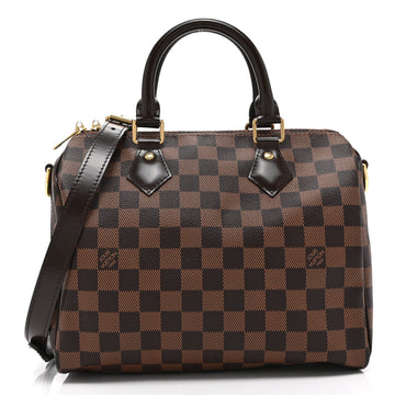 Louis Vuitton Damier Ebene Speedy