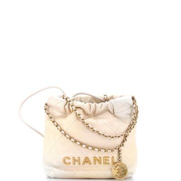 Chanel 22 Chain Hobo Quilted Shaded