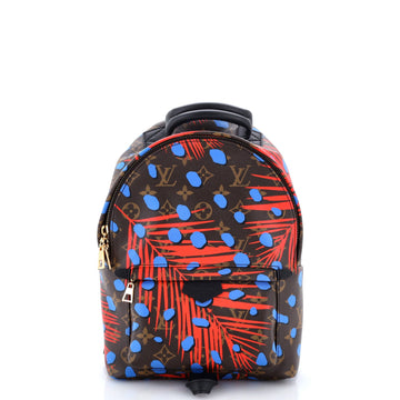 Louis Vuitton Palm Springs Backpack