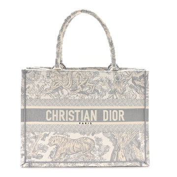 Christian Dior Canvas Embroidered Medium