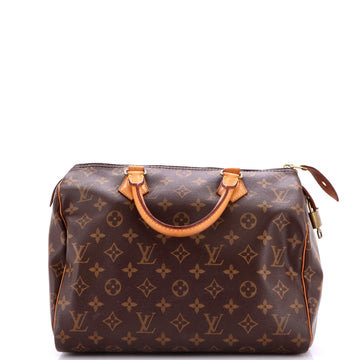Louis Vuitton Speedy Handbag Canvas 30