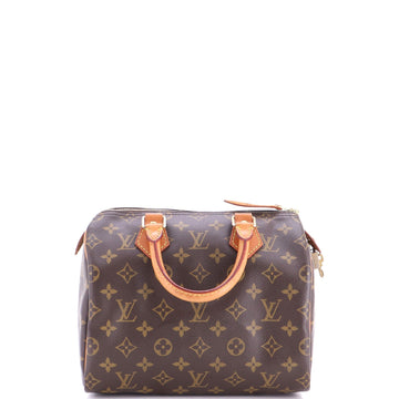 Louis Vuitton Speedy Handbag Canvas 25