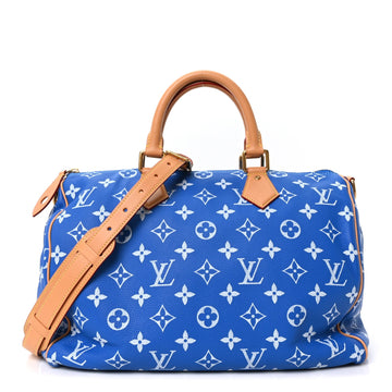 Louis Vuitton Calfskin Speedy P9