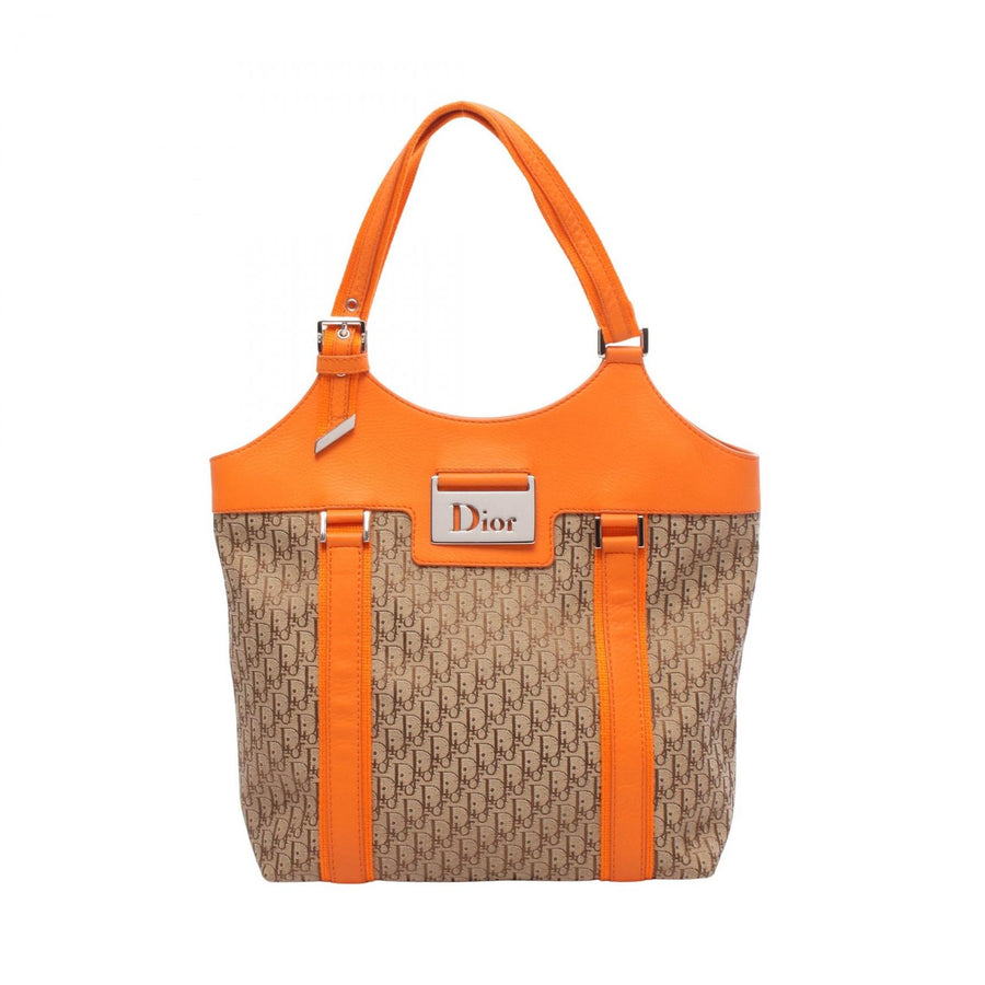 Christian Dior Street Chic Trotter Tote