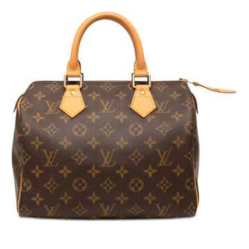 Louis Vuitton Speedy 25 Pre-Loved Boston