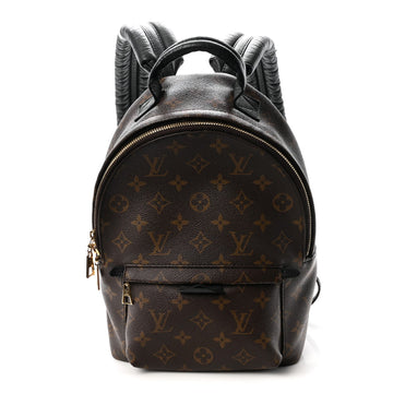 Louis Vuitton Palm Springs Backpack Pm