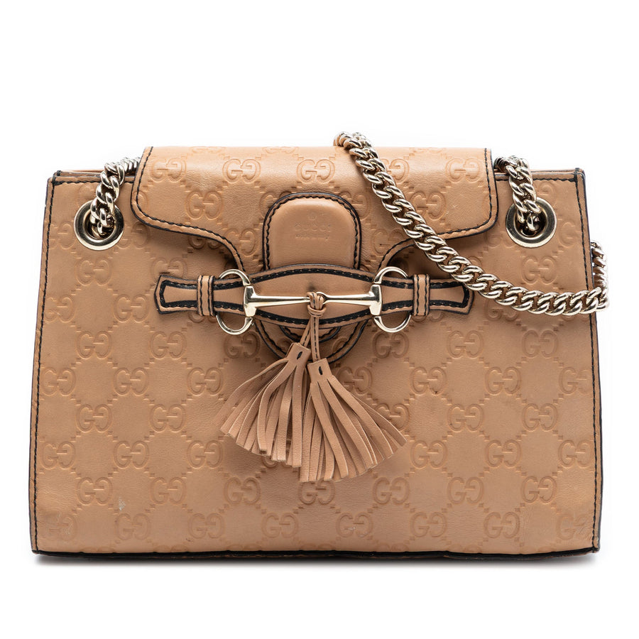 Emily Chain Flap Shoulder Bag Guccissima