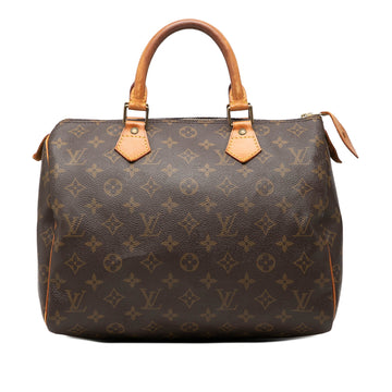Louis Vuitton Speedy Handbag Canvas 30