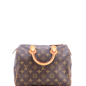 Louis Vuitton Speedy Handbag Canvas 25