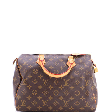 Louis Vuitton Speedy Handbag Canvas 30
