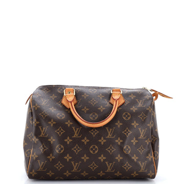 Louis Vuitton Speedy Handbag Canvas 30