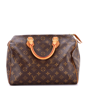 Louis Vuitton Speedy Handbag Canvas 30