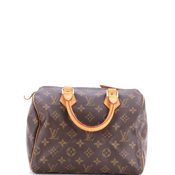Louis Vuitton Speedy Handbag Canvas 25