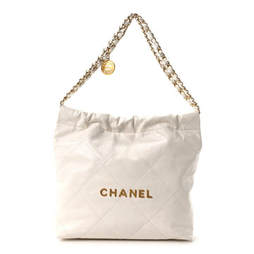 Shiny Calfskin Quilted Small Chanel 22