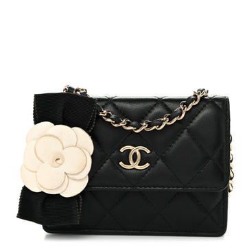 Lambskin Quilted My Chanel Lady Card