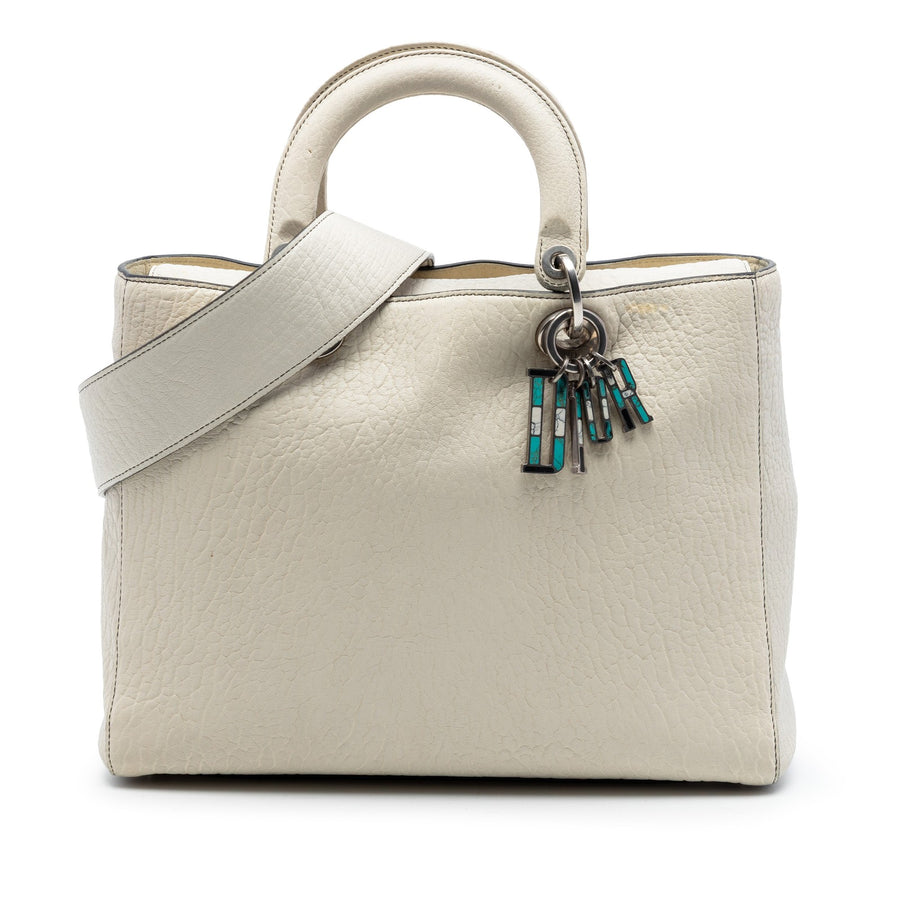 Dior Large Canyon Grained Lambskin Lady