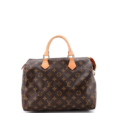 Louis Vuitton Speedy Handbag Canvas 30