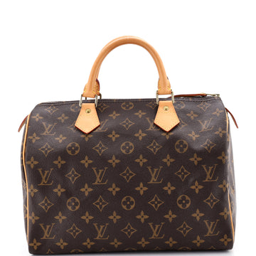Louis Vuitton Speedy Handbag Canvas 30