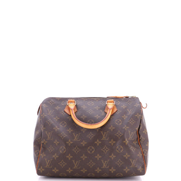 Louis Vuitton Speedy Handbag Canvas 30