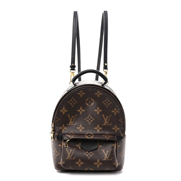 Louis Vuitton Palm Springs Backpack Mini