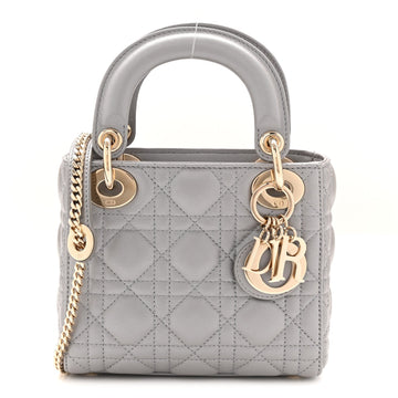 Christian Dior Metallic Lambskin Cannage