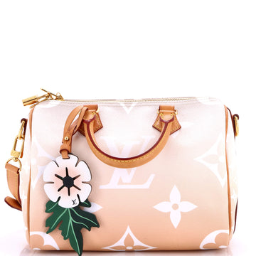 Louis Vuitton Speedy Bandouliere Bag By