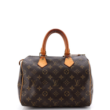 Louis Vuitton Speedy Handbag Canvas 25