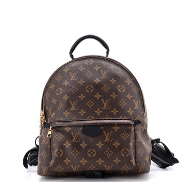 Louis Vuitton Palm Springs Backpack