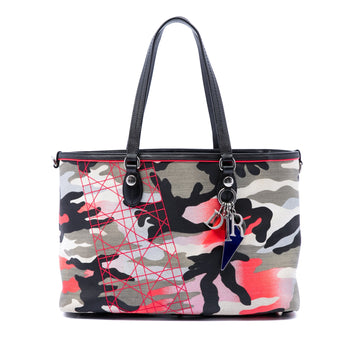 Dior Anselm Reyle Medium Canvas