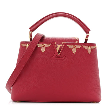Louis Vuitton Taurillon Embellished