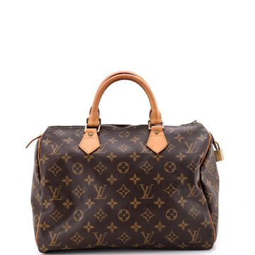 Louis Vuitton Speedy Handbag Canvas 30