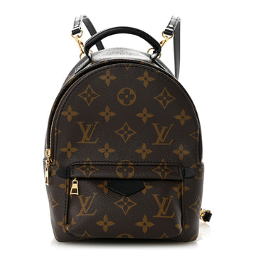 Louis Vuitton Palm Springs Backpack Mini