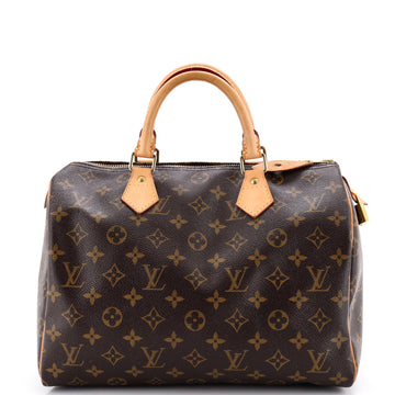 Louis Vuitton Speedy Handbag Canvas 30