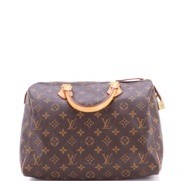 Louis Vuitton Speedy Handbag Canvas 30