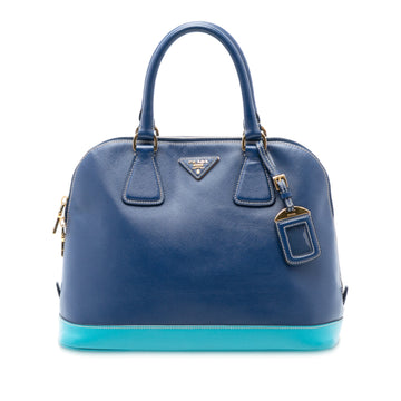Prada Bicolor Promenade Bag Saffiano