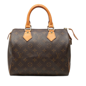 Louis Vuitton Speedy Handbag Canvas 25