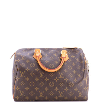 Louis Vuitton Speedy Handbag Canvas 30