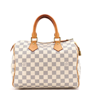 Louis Vuitton Speedy Handbag Damier 25