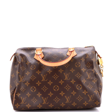 Louis Vuitton Speedy Handbag Canvas 30
