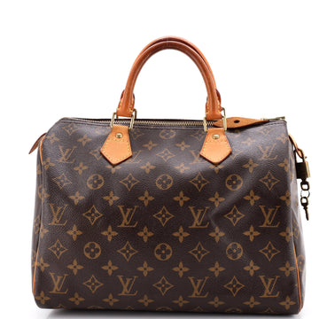 Louis Vuitton Speedy Handbag Canvas 30