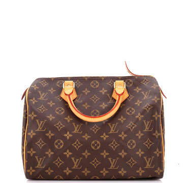 Louis Vuitton Speedy Handbag Canvas 30