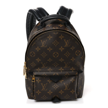 Louis Vuitton Palm Springs Backpack Pm