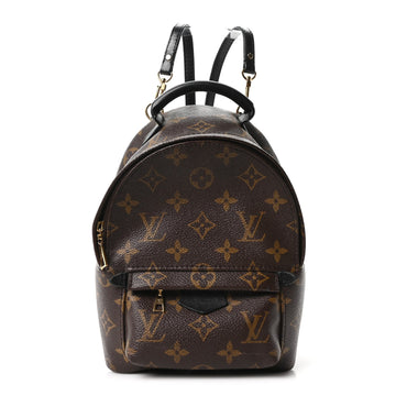 Louis Vuitton Palm Springs Backpack Mini