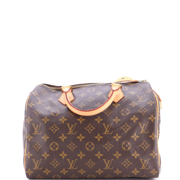 Louis Vuitton Speedy Handbag Canvas 30